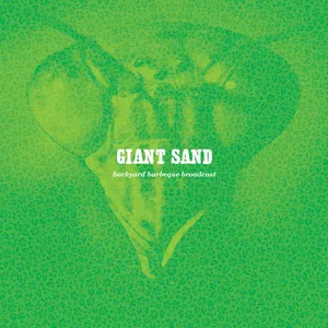 Backyard barbeque broadcast